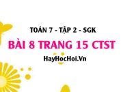 Bài 8 trang 15 Toán 7 Tập 2 Chân trời sáng tạo